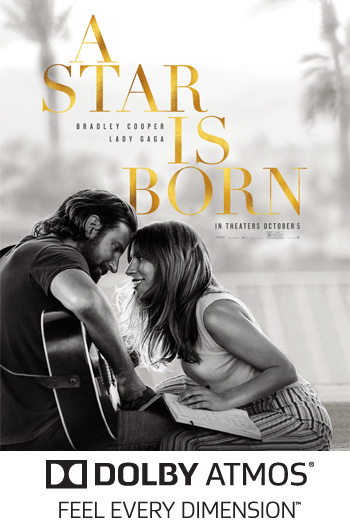 Movie A Star Is Born 2018 Jericho Public Library