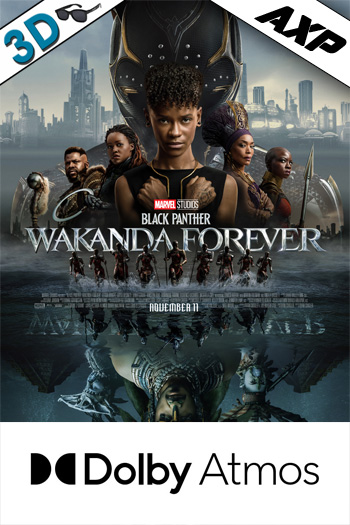 Black Panther: Wakanda Forever 3D AXP